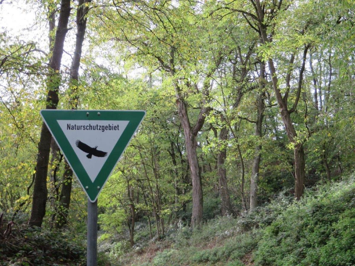 Ferienwohnung Familie Buchner Großheubach Extérieur photo